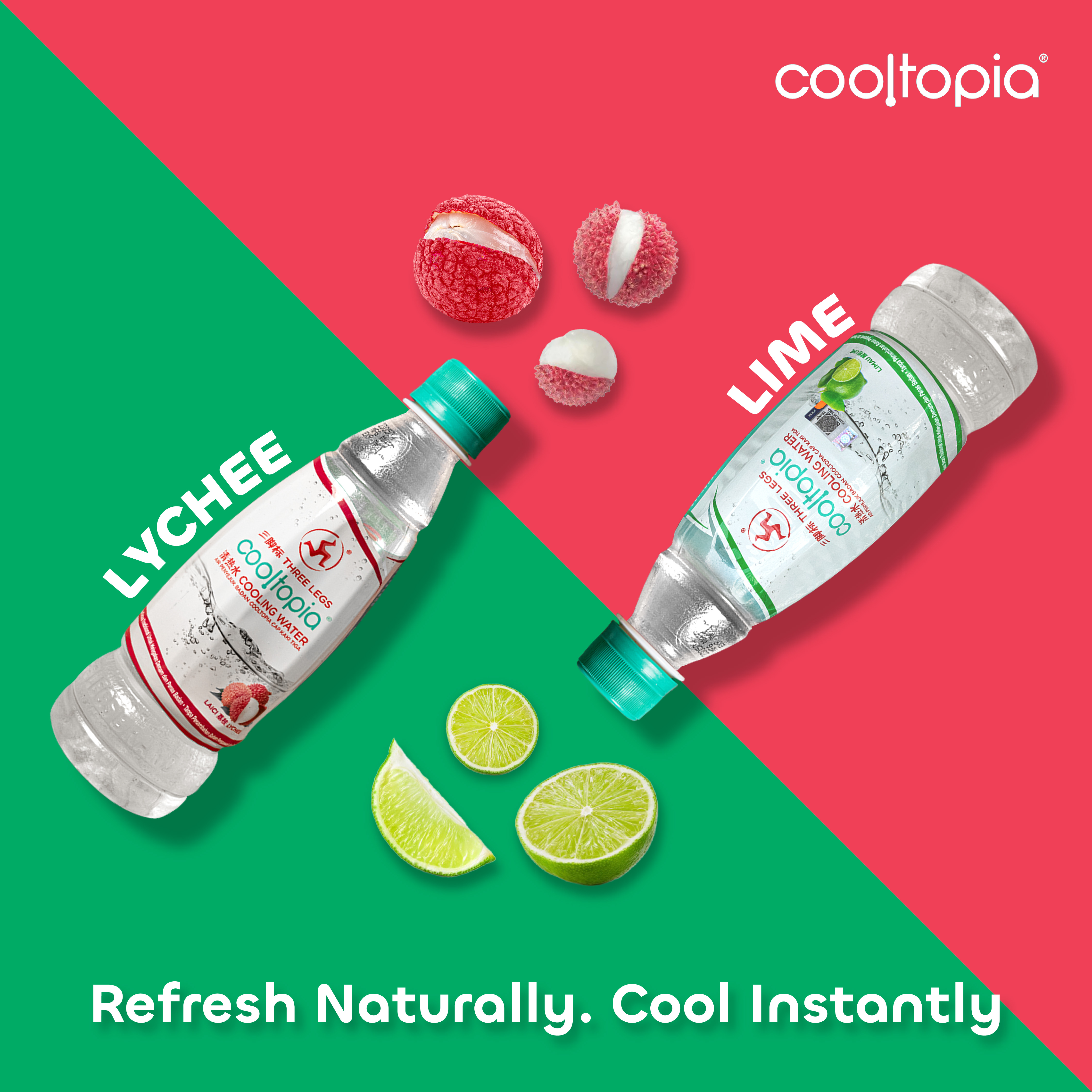 Cool Rhino Durian First Edition Design